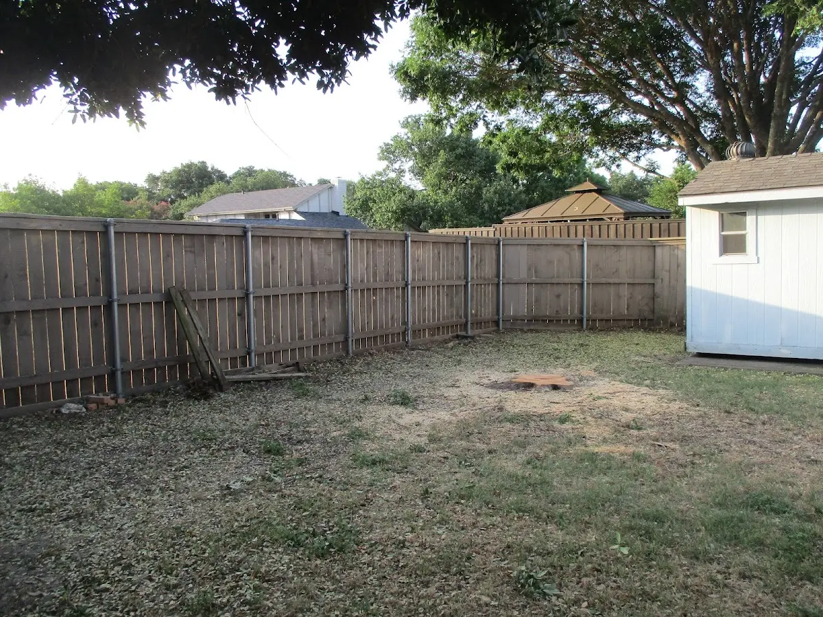 Cleared yard after professional tree removal in Dawsonville