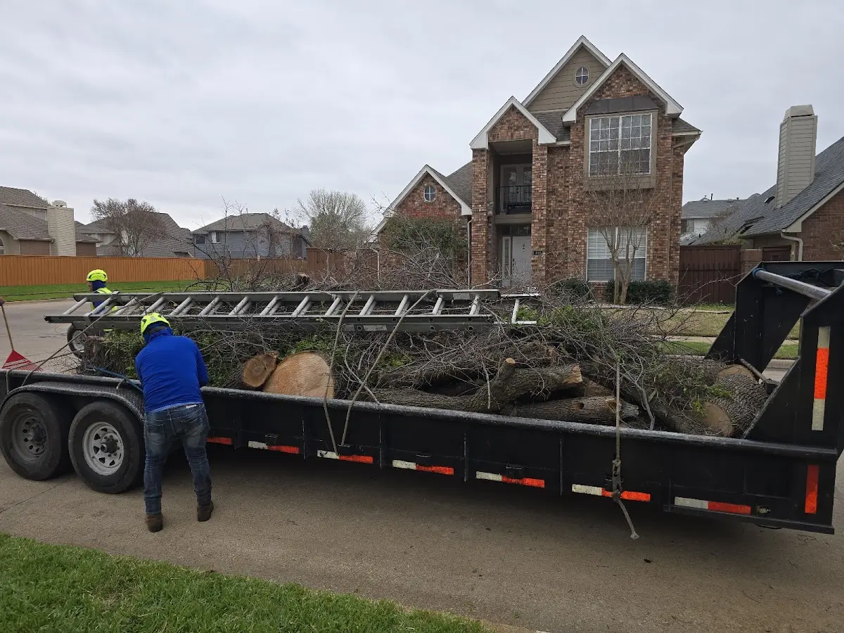Expert Tree Fertilization with proper safety equipment in Dawsonville